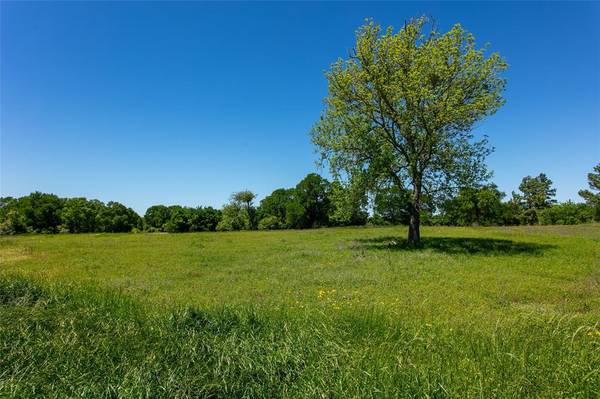 Lot 24 Brazos CT, Caldwell, TX 77836