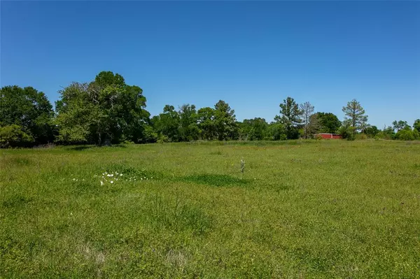 Caldwell, TX 77836,Lot 24 Brazos CT