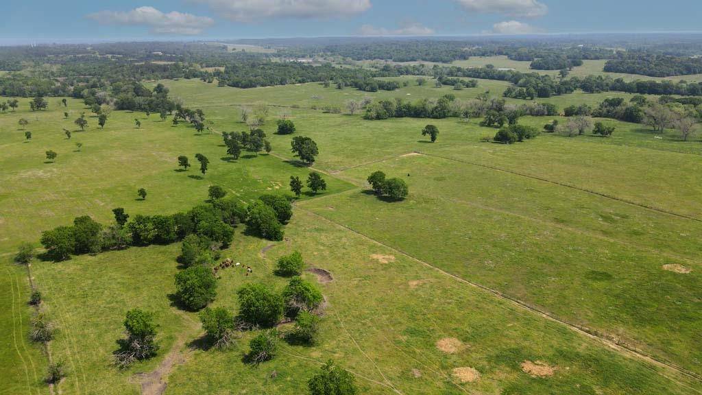 Navasota, TX 77868,Tract #4 CR 305 RD