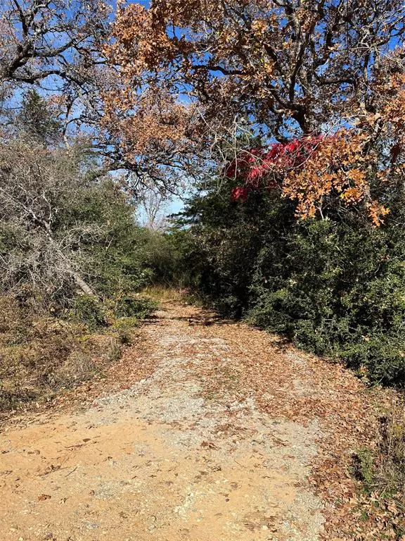 Hilltop Lakes, TX 77871,TBD W Trail LN