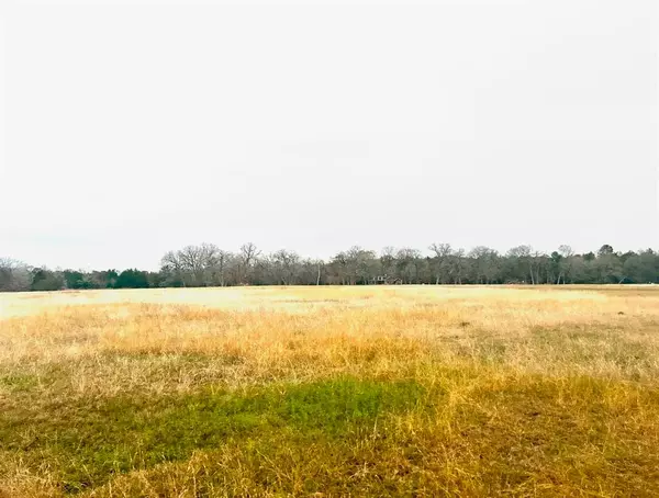 New Waverly, TX 77358,TBD 0 LOT #3 Longhorn LOOP