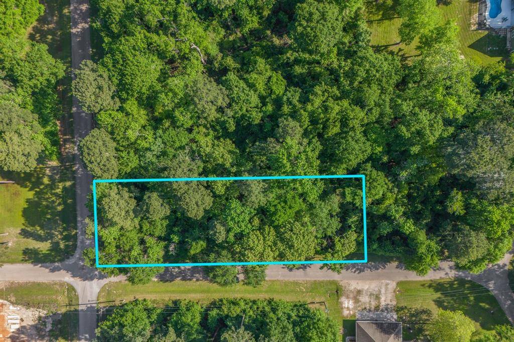 Willis, TX 77318,TBD Paradise Point DR