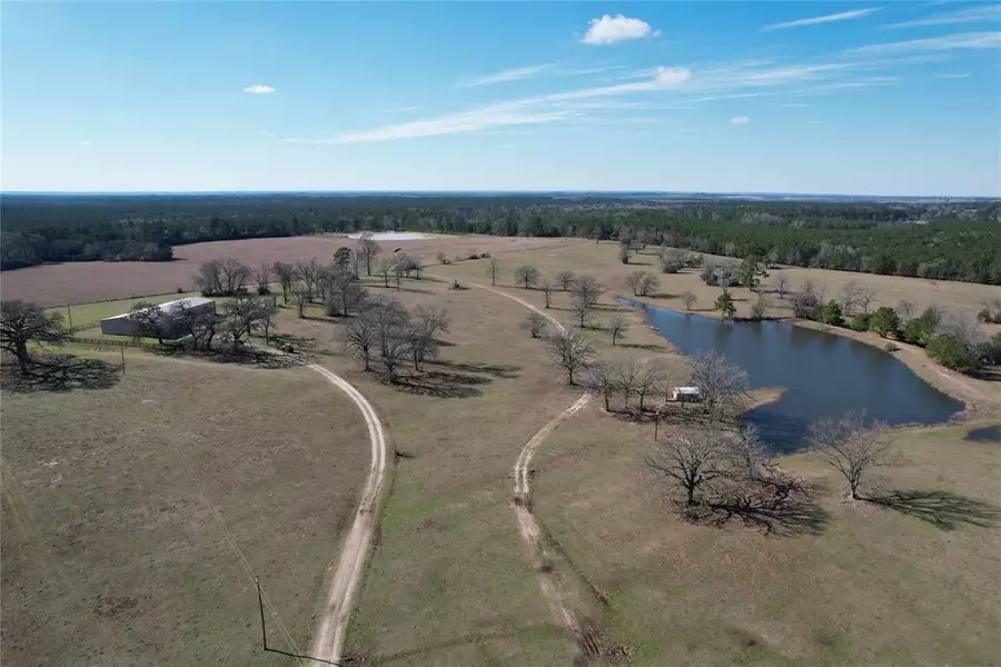 9990 CR 3375, Lovelady, TX 75851