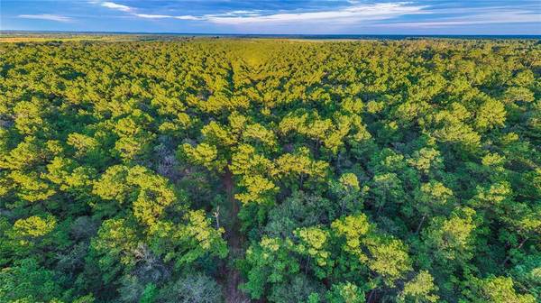 End of CR 112B, Devers, TX 77538