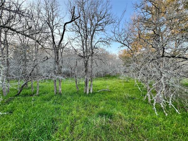 805 Wilderness, Somerville, TX 77879