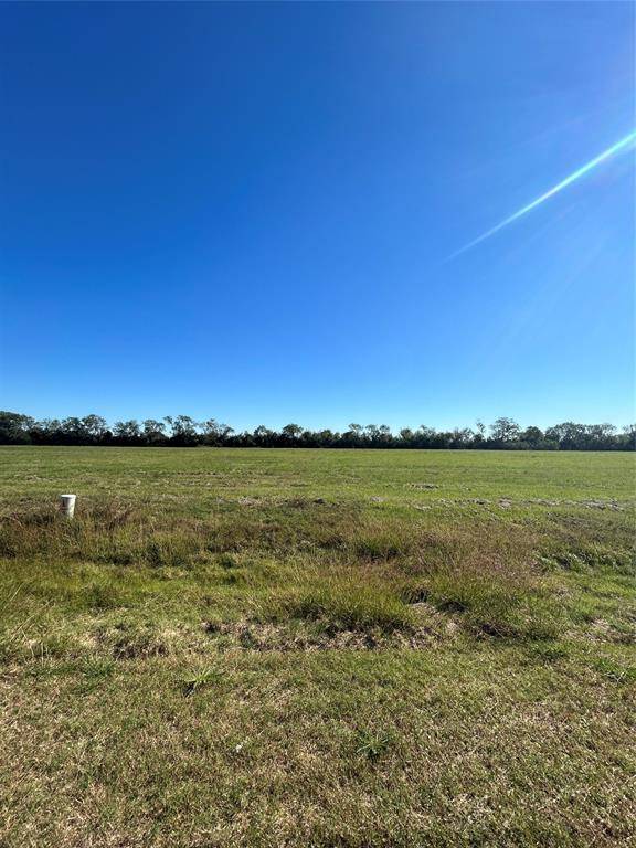 Angleton, TX 77515,000 Brahman TRL