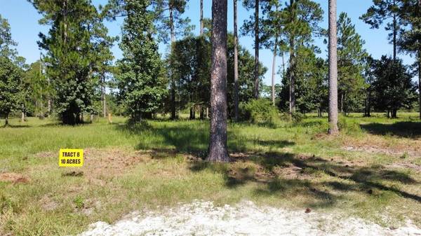 6730 Burrell Trail, Kountze, TX 77625