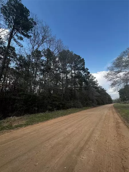 00 Rebel RD, Livingston, TX 77351