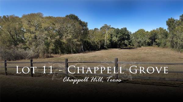 11 Chappell Grove LN, Chappell Hill, TX 77426