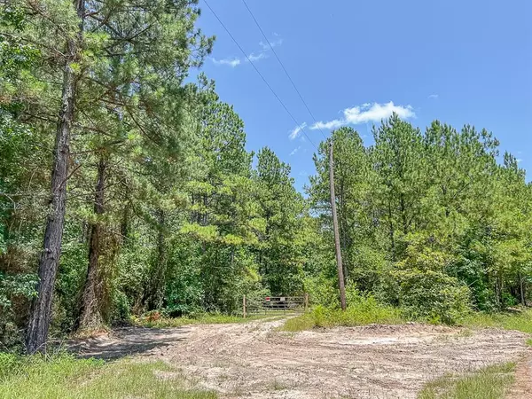 Zavalla, TX 75980,05 CR 364e