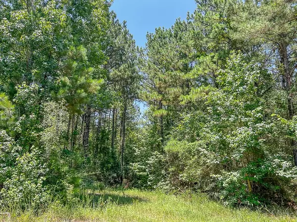 Zavalla, TX 75980,05 CR 364e