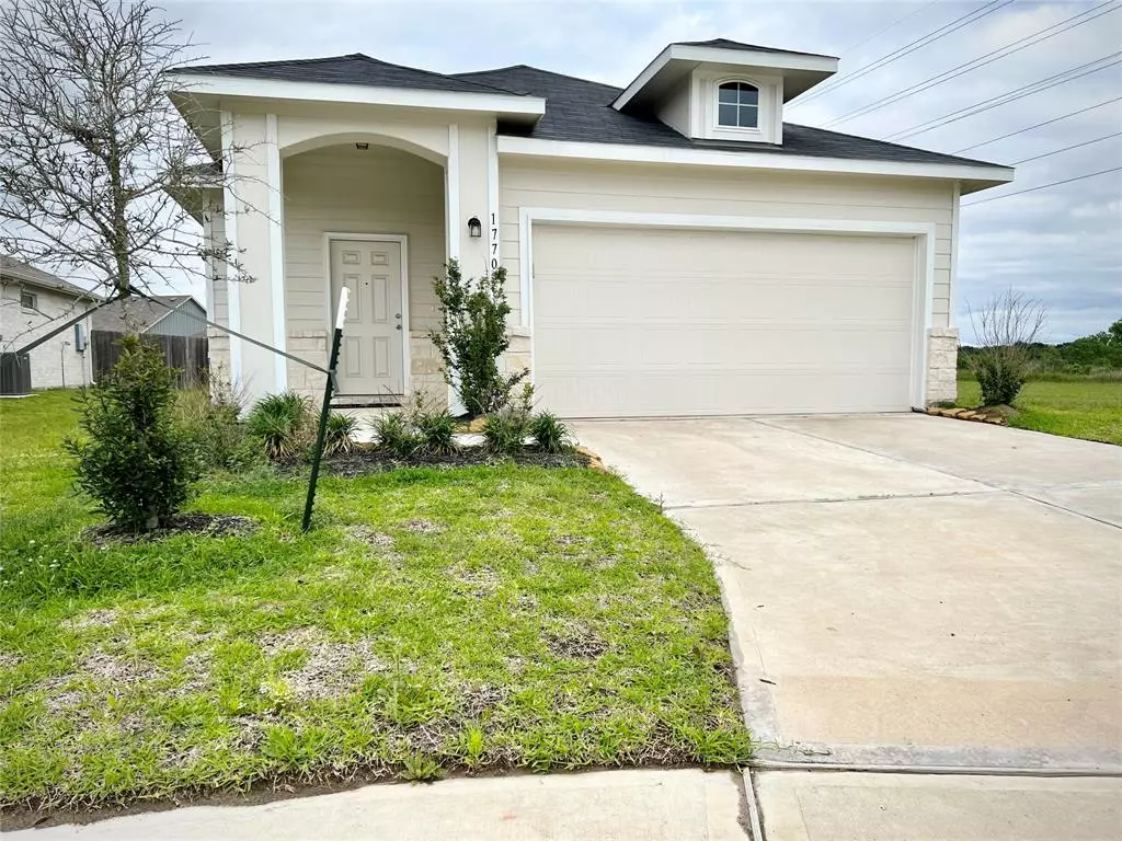 Hockley, TX 77447,17702 Brahman Horn CT