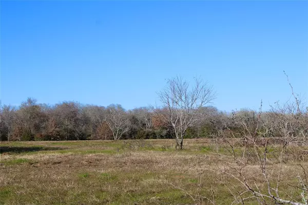 1206 PR 2205 CR 412, Lexington, TX 78947