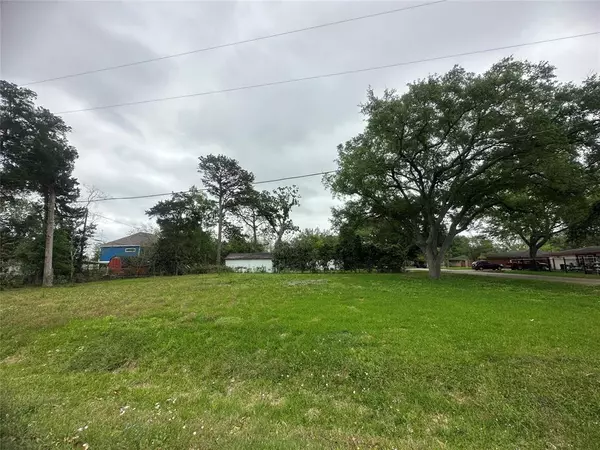 Alvin, TX 77511,1306 W Talmadge ST