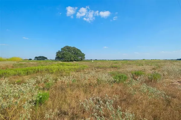 Columbus, TX 78934,Lot 102 Pintail LN