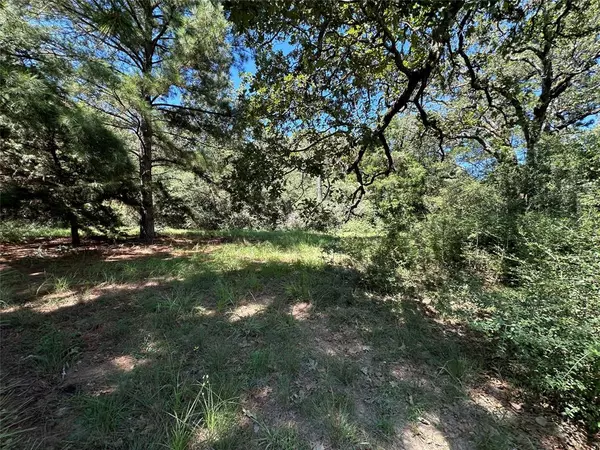 Centerville, TX 75833,TBD TR 3 CR 481