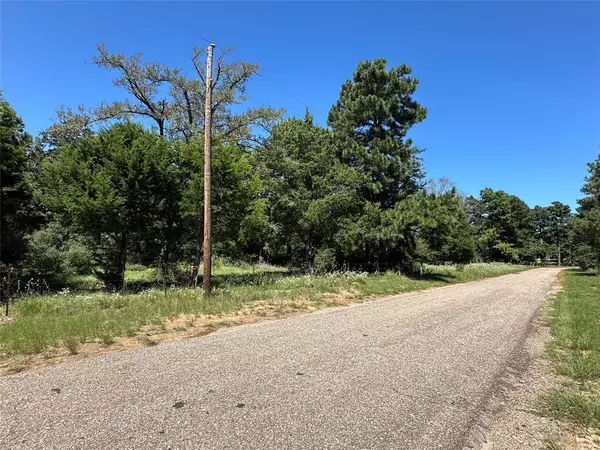 Centerville, TX 75833,TBD TR 3 CR 481