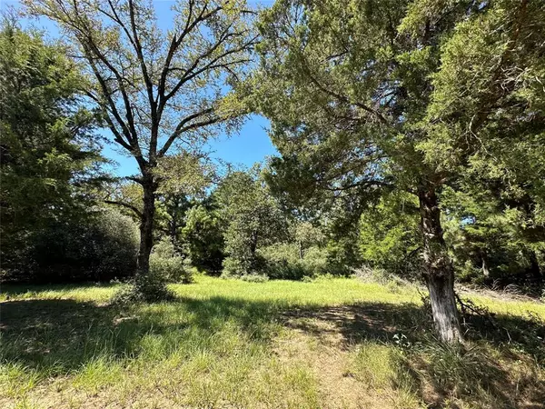 TBD TR 3 CR 481, Centerville, TX 75833