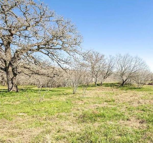 TBD County Road 1g, Hallettsville, TX 77964