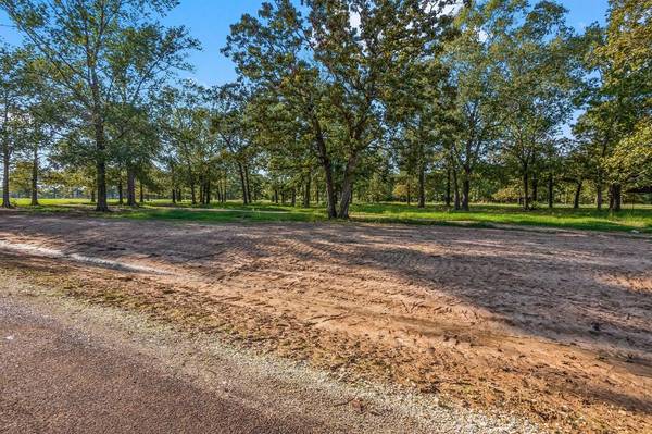 New Waverly, TX 77358,Lot 4 Alans Memorial Lane