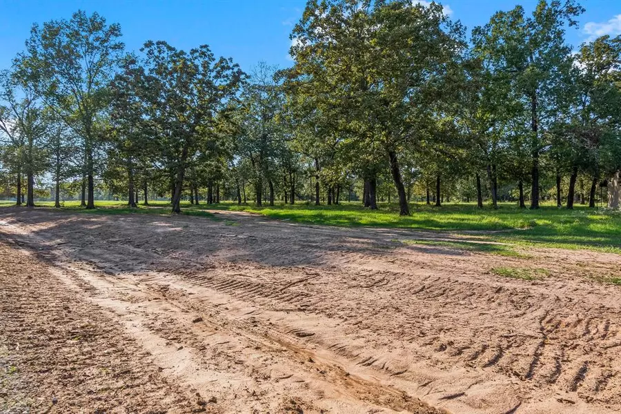 Lot 4 Alans Memorial Lane, New Waverly, TX 77358