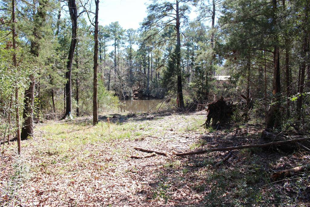Trinity, TX 75862,Lot 68 Hidden LN