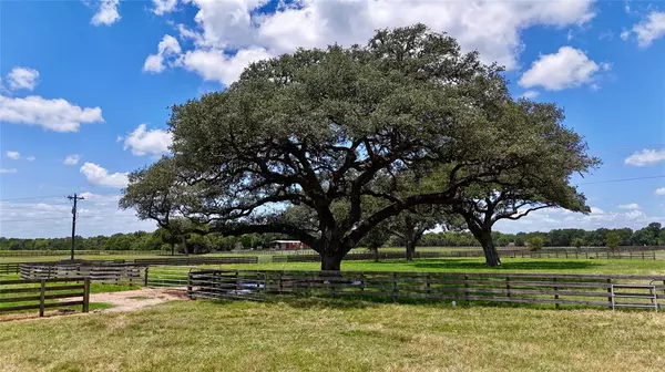 Schulenburg, TX 78956,66 County Road 77d