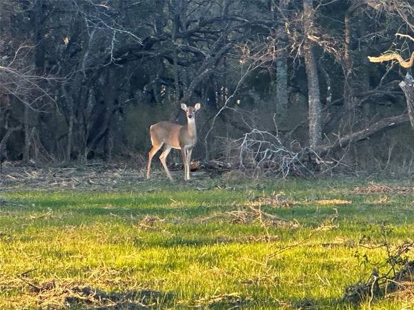 Corsicana, TX 75109,Lot 7 Grison CIR