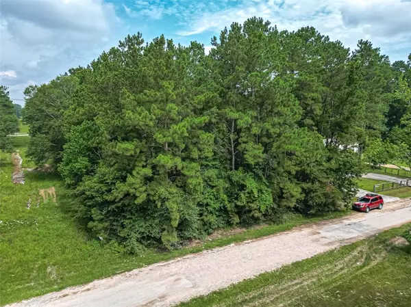 19116 Kings ROW, New Caney, TX 77357