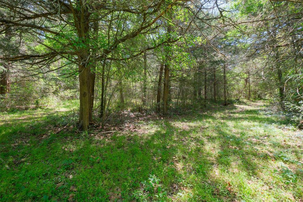 24718 Squirrel RD, New Ulm, TX 78950