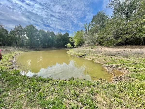 TBD High Crossing Road - Tract 12-13, Smithville, TX 78957