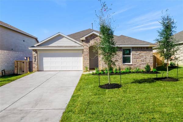 40319 Bermuda Ivy ST, Magnolia, TX 77354