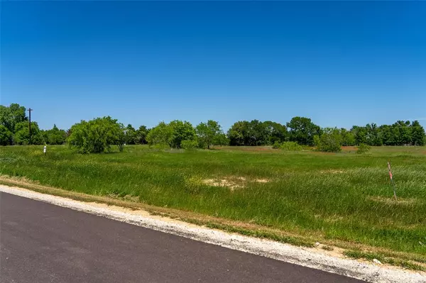 Caldwell, TX 77836,Lot 29 Brazos Court