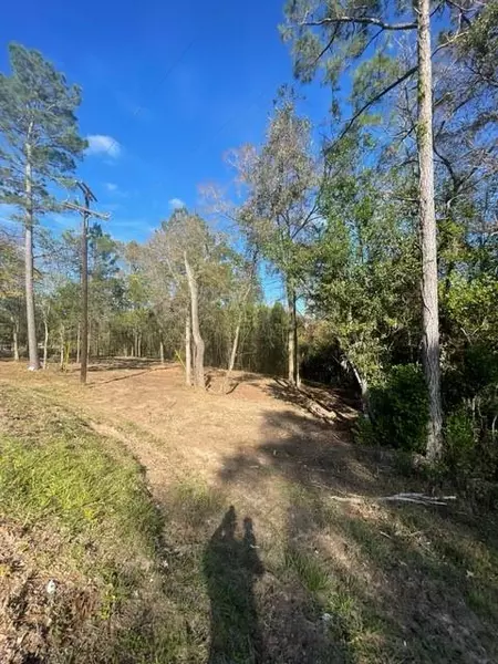 0 Rollingwood Loop - LOT 3, Conroe, TX 77303