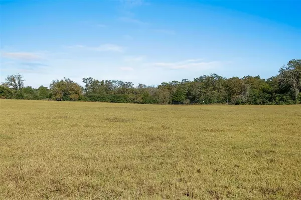 Franklin, TX 77856,5.5 AC Farm to Market 1940