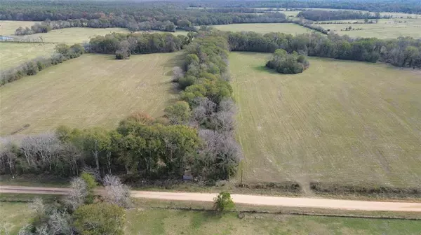 Groveton, TX 75845,TBD Reese Road / Louisville Road