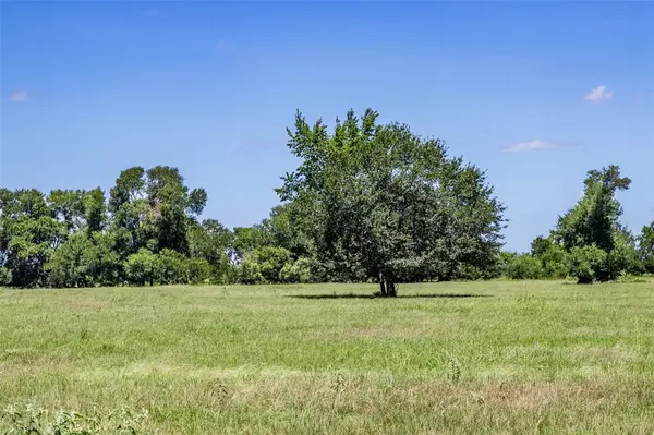 Caldwell, TX 77836,11752 County Road 318