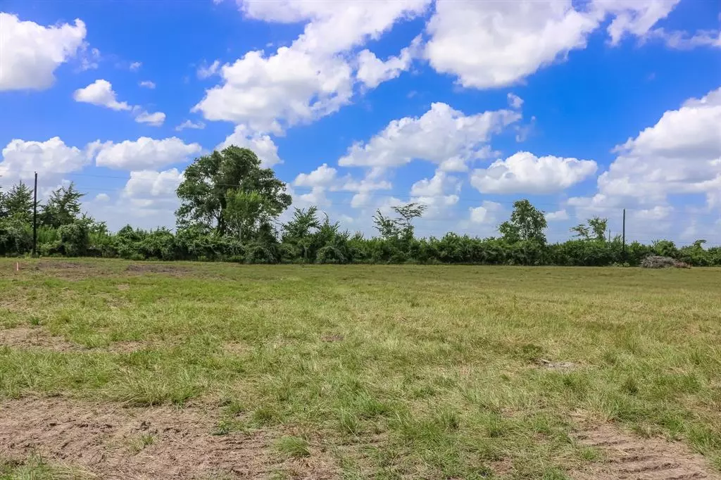 Anderson, TX 77830,Lot 3 County Rd 219