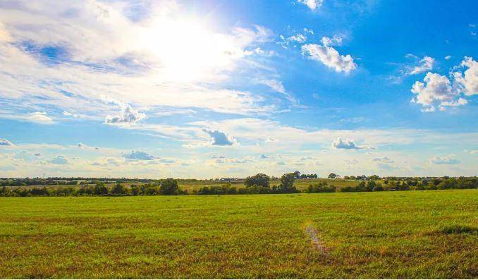 Chappell Hill, TX 77426,Lot 4 Chadwick Hogan RD