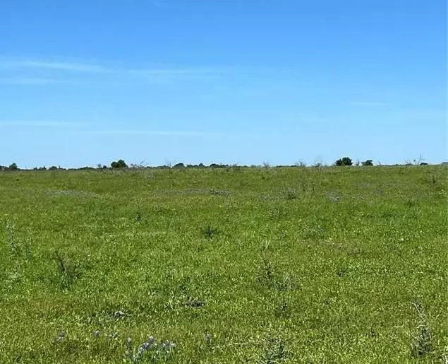 Lot 4 Chadwick Hogan RD, Chappell Hill, TX 77426