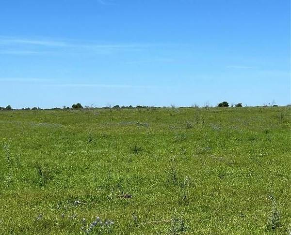 Lot 4 Chadwick Hogan RD, Chappell Hill, TX 77426