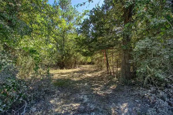 Bedias, TX 77831,000 County Rd 151