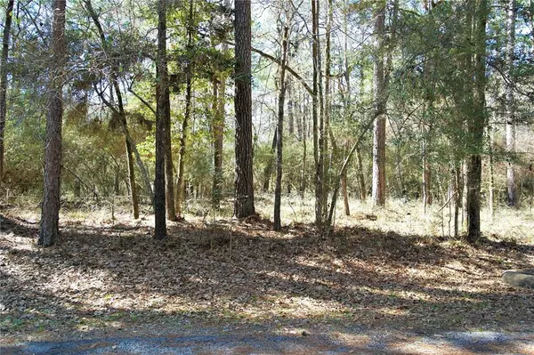 Lot 3 Magnolia, Trinity, TX 75862