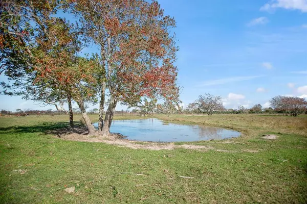 TBD County Road 429, Lolita, TX 77971