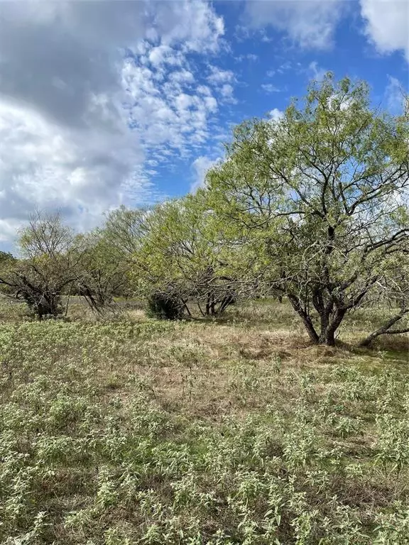 Bedias, TX 77831,TBD 8.512 Ac CR 131 DR