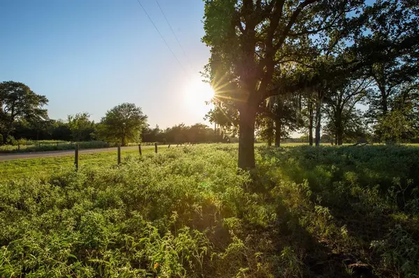 New Ulm, TX 78950,TBD Cummins Creek RD