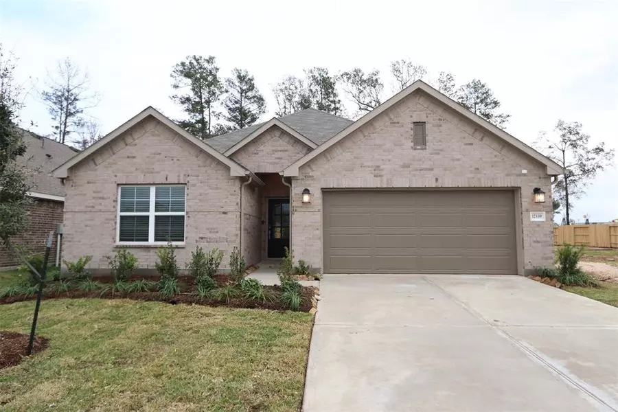 17339 Silver Birch CT, New Caney, TX 77357