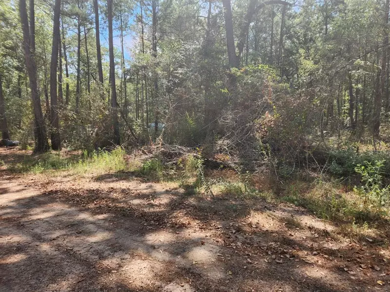 Lot 23 Yellow Poplar LN, Plantersville, TX 77363