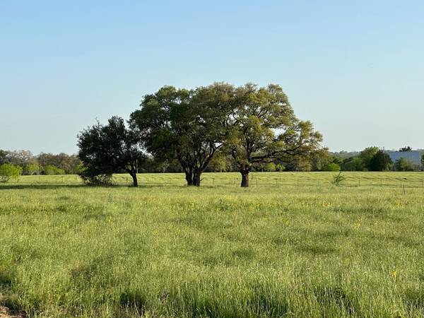 TBD - Lot 3B County Road 222, Schulenburg, TX 78956