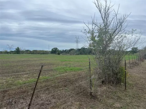 Iola, TX 77861,Lot 4 County Road 166